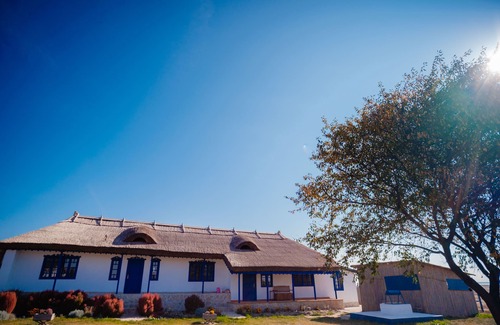 Tulcea County Casa | Traditional house with one bedroom apartment/ fireplace and porch.