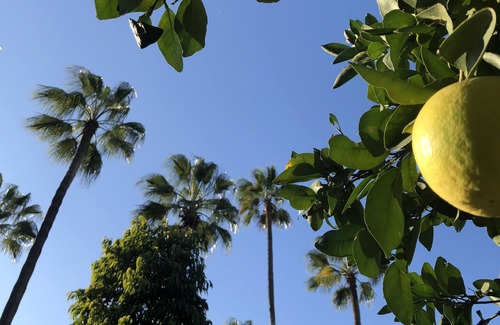 Pardes Hanna Casa | Tradicional casa de la familia israelí en un gran jardín vallado con árboles frutales