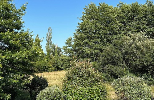 Levignacq Casa | Traditional Landes house for rent