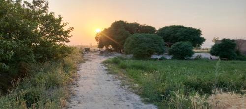 Punjab Otro | Traditional Village Farm Stay Nature & Peace in desi food