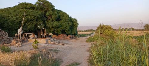 Punjab Apartamento | Traditional Village Farm Stay Nature & Peace in desi food