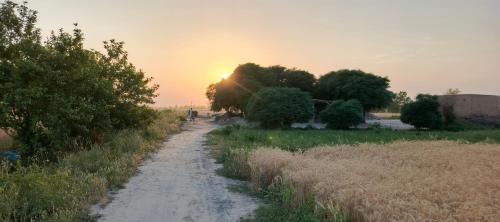 Punjab Apartamento | Traditional Village Farm Stay Nature & Peace in desi food