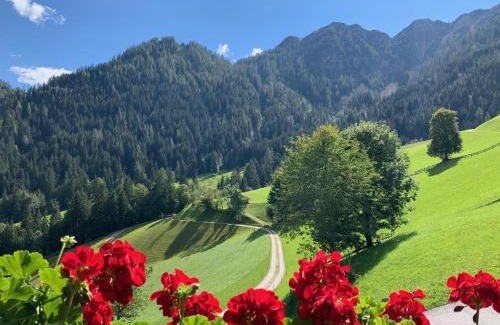 Wildschoenau Casa | Tradlhof