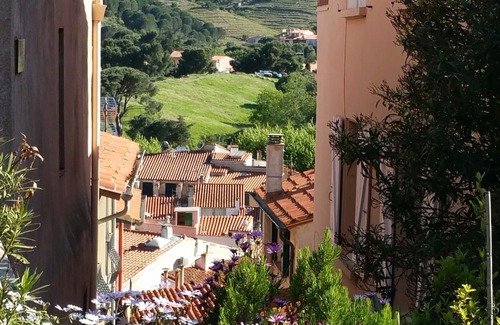 Collioure Apartamento | Piso / apartamento - COLLIOURE