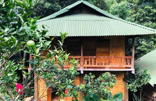 Vi Xuyen Cabina | Trang trại nghỉ dưỡng Việt Thành Hill