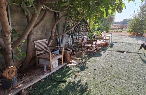 Rosh Ha'ayin Casa | Trankilo on the field