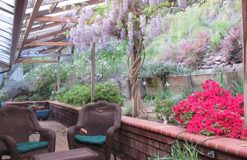 Fairfax Apartamento | TRANQUIL MASTER SUITE studio with PRIVATE ENTRANCE in charming Fairfax