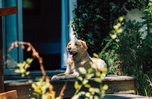 Cape Town Casa | Tranquil Mountain Retreat Hout Bay Cottage