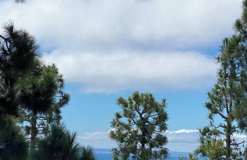 Rancho Palos Verdes Apartamento | Tranquil oceanview apartment in Palos Verdes
