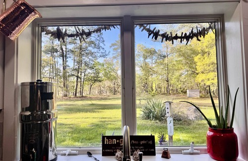 Redhill Cabaña | Tranquil Water Front cottage, 35 Min to Charleston, Beach 20 min, Pet-Friendly