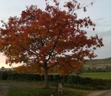 Villy-sur-Yeres Casa | tranquillité- jardin- WIFI- gite Père Louis