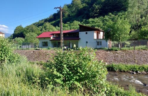 Petrosani Casa | Transilvania 10 - Casa Poarta Văii Jiului