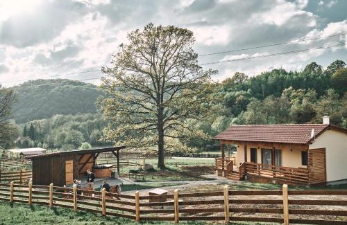 Bradut Casa | Transylvania Forest Haven-Luxury Cabin