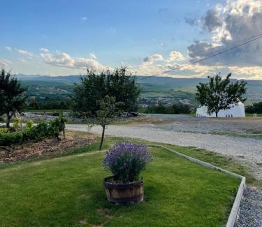 Turda Cama Y Desayuno | Transylvania WINE