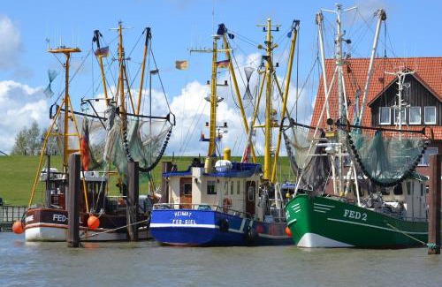 Butjadingen Casa | Traumhaus mit Platz für 20 Personen an der Nordsee