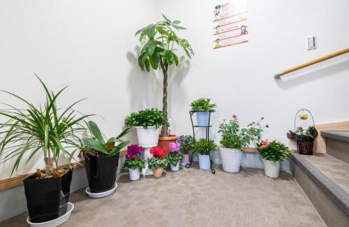 Kawaguchi Casa | Travel Palace Miyuki (Yomiuri Shimbun)/Vacation STAY 5734
