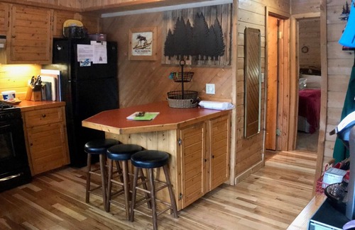 Mayfield Cabina | Boardman River (Traverse City) Log Cabin - ¡Tu paraíso para pescar y andar en motonieve!