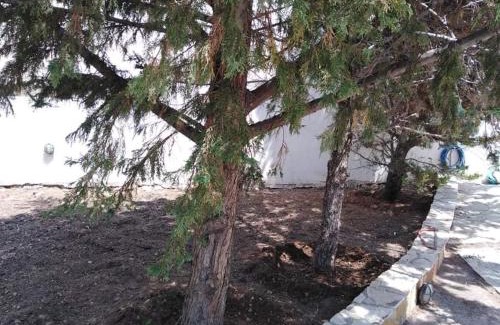 Salamis Apartamento | Treasures B&B