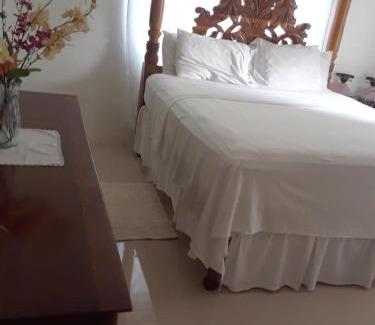 Santa Cruz Casa | Treaysures