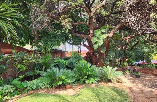 Mokopane Casa | Tree Aloe Guest House