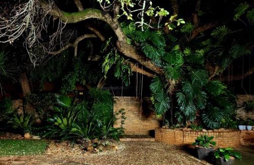 Mokopane Casa | Tree Aloe Guest House