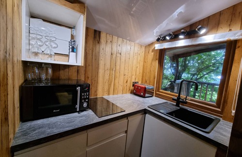 Llanarth Cabaña | Tree House