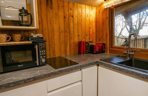 Llanarth Cabaña | Tree House
