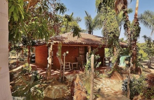 Todos Santos Casa | CASA ÁRBOL ubicada en Rancho Danza del Sol