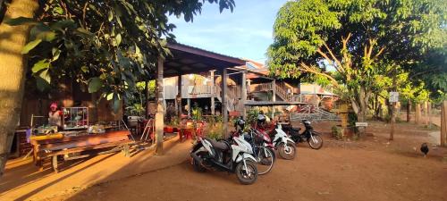 Ban Lung Cabina | Tree Trails Homestay & Offers Jungle Trekk-Scooter For Rental