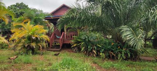 Ban Lung Cabina | Tree Trails Homestay & Offers Jungle Trekk-Scooter For Rental