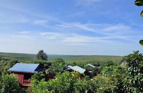 Ban Lung Cabina | Tree Trails Homestay & Offers Jungle Trekk-Scooter For Rental