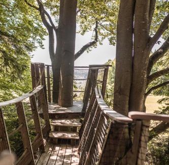 Volary Otro | Treehouse Šumava