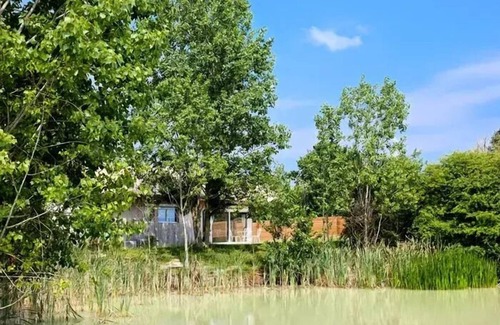 Dienne Cabina | Defiplanet 'a Jenne - Hut In The Trees 4 Personas