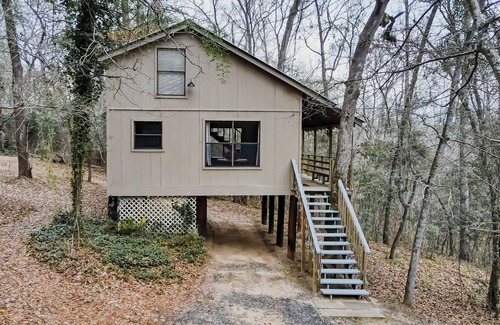 Nacogdoches Cabina | Treehouse - A cabin in the canopies at Stag Leap Cabins!