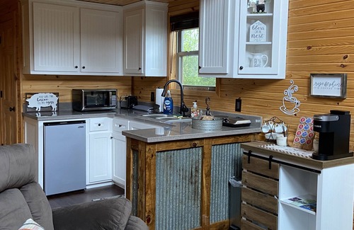Paris Cabina | Treehouse/cabin with an amazing view of Mount Magazine