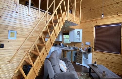 Paris Cabina | Treehouse/cabin with an amazing view of Mount Magazine