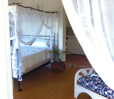 St. John's Casa | Treehouse Cottage