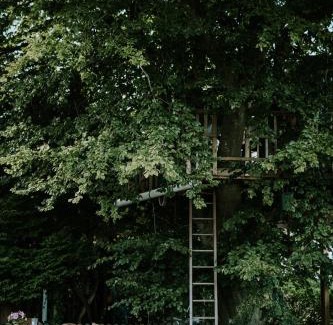 Kvaerndrup Otro | Treehouse escape