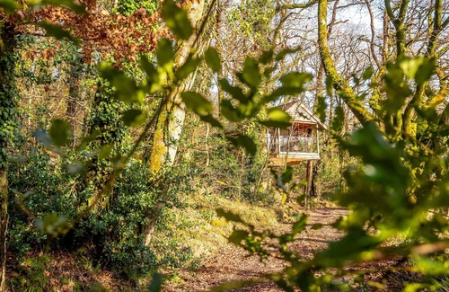 Beaworthy Casa | Treehouse in Germansweek near Dartmoor Trails