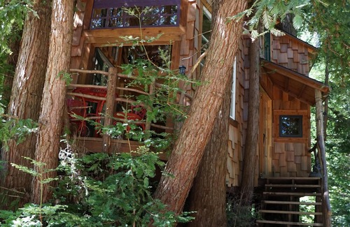Los Gatos Chalet De Esquí | Casa del árbol en las montañas de Santa Cruz, secoyas, playas y Silicon Valley