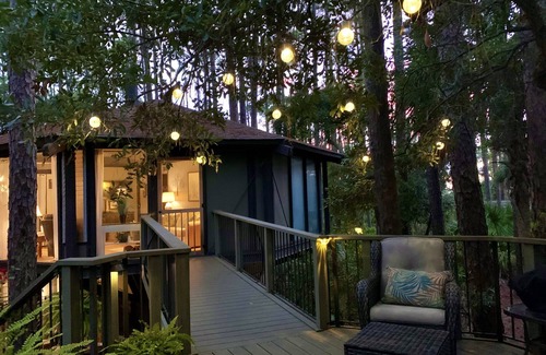Sea Pines Cabaña | Treehouse in Forest by the Sea Walk to Harbourtown