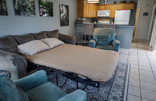 New Braunfels Condominio | ¡Acogedor condominio en Guadalupe en New Braunfels, unidad final ultra privada!