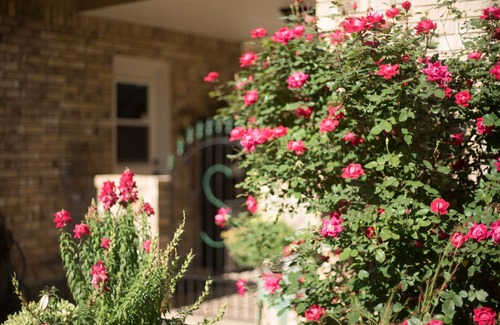 Tomball Apartamento | Treetop Studio - NW Houston Area