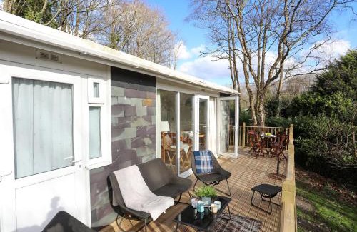 Bont Newydd Casa | Treetops