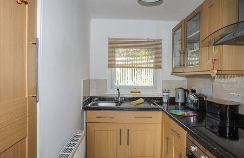 Bont Newydd Cabaña | Treetops
