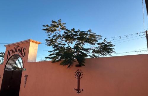 Zaragoza Apartamento | Tres Iguanas Apart Hotel - New, cozy & spacious flats, short walk to beach