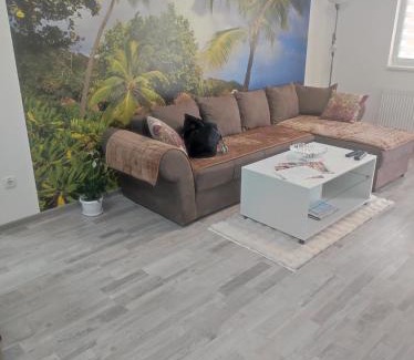 Banja Koviljaca Apartamento | Tri palme