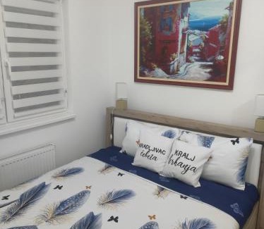 Banja Koviljaca Apartamento | Tri palme