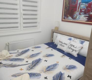 Banja Koviljaca Apartamento | Tri palme