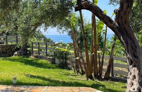 Lygia Casa | Triantis Apartments